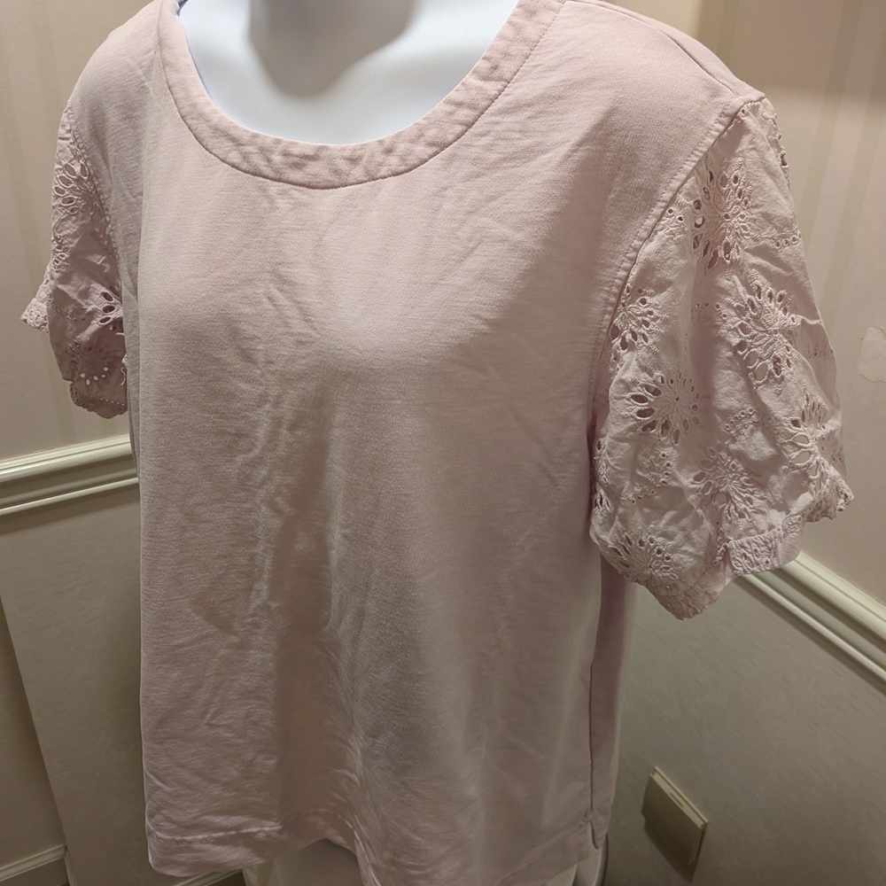 Blush Lace Sleeve Blouse